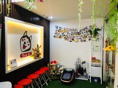 -Husky Go! 哈士奇体验馆·宠物咖啡厅狗咖