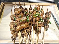 -山野的朋友露营炭火烤肉