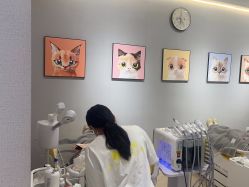 -洗脸猫·洗脸吧