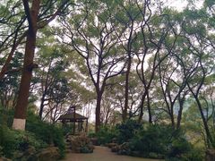 -忠山公园