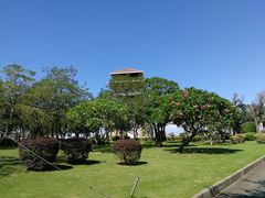 -大湾区中央湿地公园