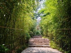 -竹子庵公园