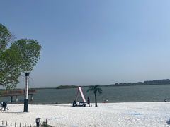 -武清南湖绿博园