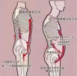 -Fundi张玉珊修身堂·indiba·BTL科技瘦身