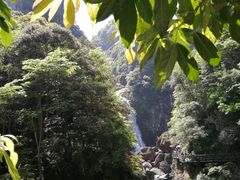 -龙湾潭国家森林公园