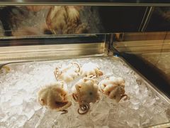 -铭聚章鱼土笋冻(松柏店)