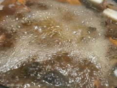 -滇野云南野生菌餐厅(陕西南路店)