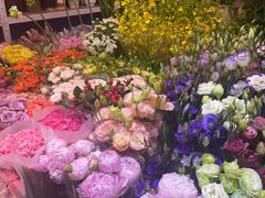 -朝来春花卉市场-东停车场