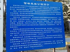 -北京鹫峰国家森林公园