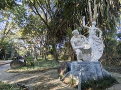 -瑞丽独树成林风景区