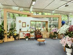 -上海鲜花港
