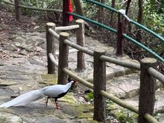 -东南悬空寺方广岩