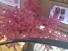 -百货大楼(金鼎购物中心店)