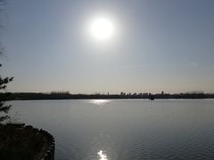 -大兴滨河森林公园