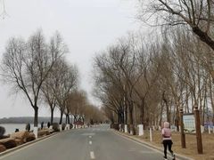 -丁香湖公园