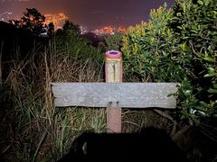 -梧桐山风景名胜区