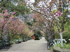 -南山植物园