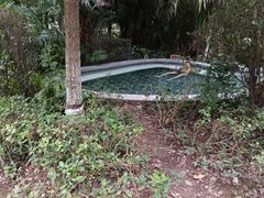 -海兰云天度假区温泉