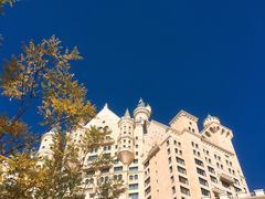 -大连一方城堡豪华精选酒店大堂吧