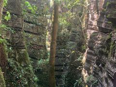 -梭布垭石林景区