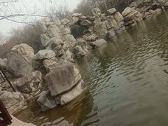 -西安市长乐公园