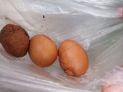 -杭州黄龙洞