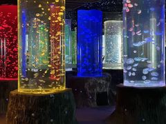 -锦艺城海洋馆