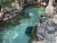 -张家港金凤凰度假村温泉
