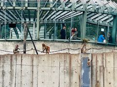 -无锡动物园·太湖欢乐园