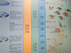 -湖南省地质博物馆