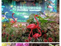 -正佳雨林生态植物园