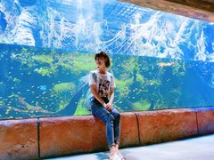 -华夏文旅海洋公园