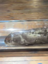 -Zoolung Zoolung动物主题公园(海信广场店)