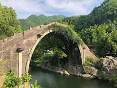 百年白云桥-鹿亭中村