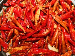 -丹江渔村(望京店)