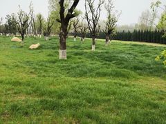 -汉长安城未央宫国家考古遗址公园