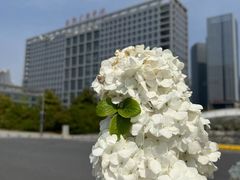 -天鹅湖体育公园