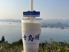 -千岛湖天屿景区