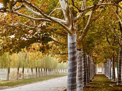 -南开大学滨海学院