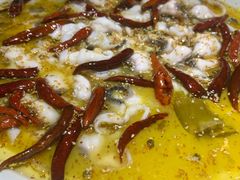 -青花椒花椒鱼(合生汇店)