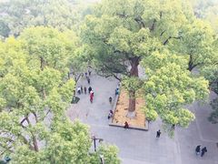 -城隍阁