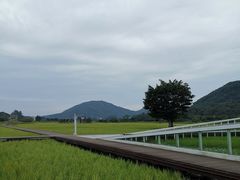 -艾米稻香小镇
