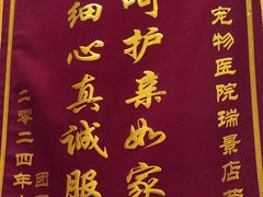 -瑞派康怡24h宠物医院·犬猫医疗中心·微创绝育(瑞景分院)