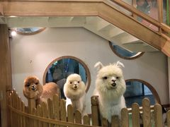 -藦茜花园宠物主题亲子互动体验馆(国顺东路店)