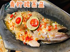 青柠檬蒸鱼-太泰(万象城店)
