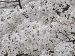 -上海黄浦旅游集散站售票处