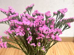 -循礼门鲜花花市(武汉循礼门店)