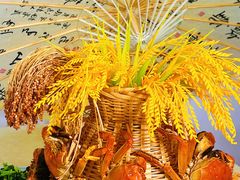 -七的湖·江南蟹舫·阳澄湖农家菜(蟹舫苑店)