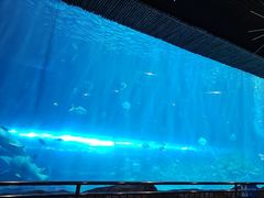 -华夏文旅西安度假区