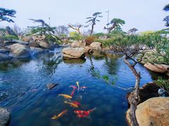 -罗红摄影艺术馆